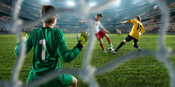 辉煌的成绩 辉煌的成绩